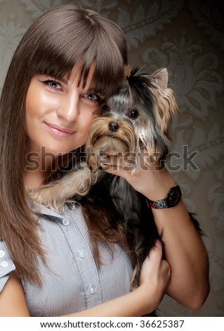 Cute Christmas  Pictures on Girl Yorkie