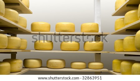 Cheese Wheels Maturing in an Aging Room