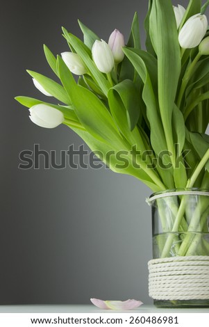white tulip flowers in the vase with water on the grey background
