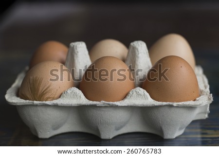 Easter eggs with hen feather in the paper tray