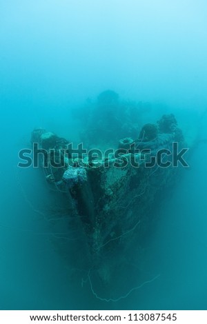 The Helmut Wreck, an unidentified 189 foot (57.6m) Japanese cargo ship sunk by American forces during World War II in the waters off the islands of Palau in Micronesia.