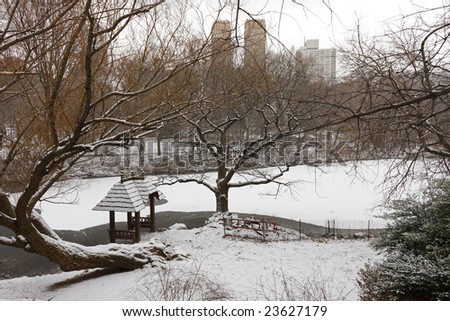 central park new york winter. in Central Park, New York