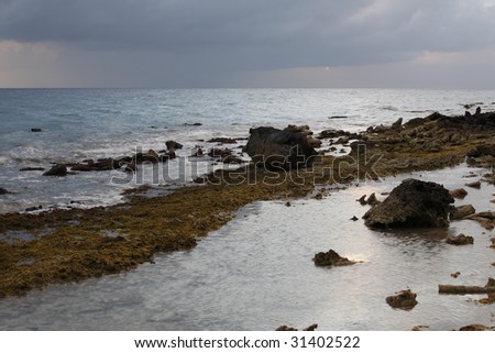 The rocky coral shoreline of Bonaire, Netherlands Antilles near the Karpata Dive site.