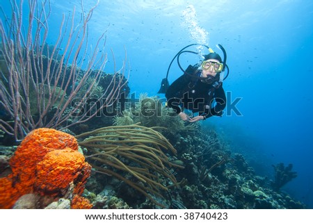 Scuba diver swimming over coral reef near Bonaire, Netherlands Antilles