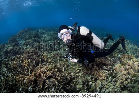 Scuba diver over a field of corals at the Valley of the Kings Dive Location off the island of Roatan, Honduras.