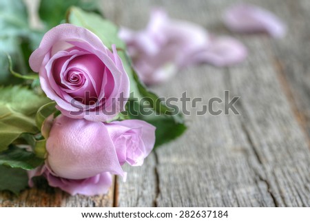 Garden purple roses bouquet on rustic wooden table side view with copy space
