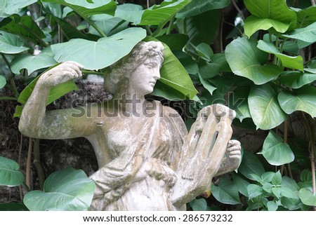 Closed up of the angle stone sculpture decoration item in the garden with caladium green leaves plants