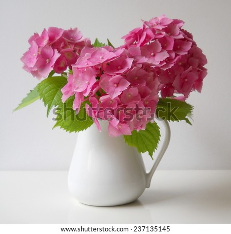 Bouquet of pink hydrangea flowers in a vase. Floral decoration with hortensia.