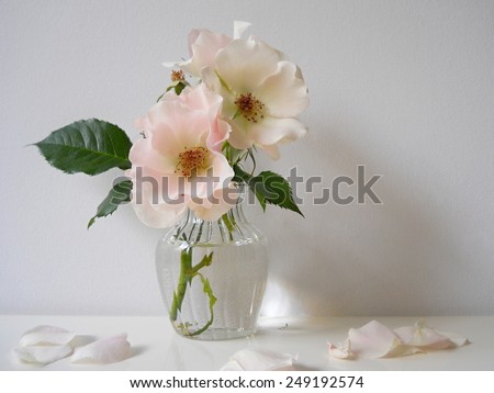 Eglantine roses in a vase. Still life with dog rose flowers.