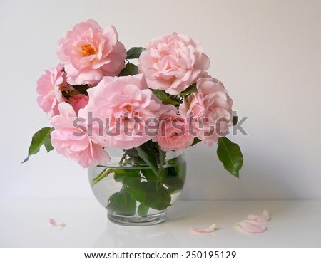 Bouquet of pink roses in a vase. Still life with roses and petals. Classic floral composition.