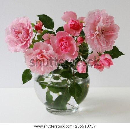 Bouquet of pink roses and buds in a vase. Still life with bouquet of roses.