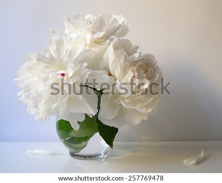 Still life with bouquet of peony flowers in a vase. Bouquet of white peonies.
