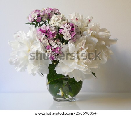 Bouquet of peonies and carnations (sweet william flowers) in a vase. Floral still life with white peony flowers and carnations.