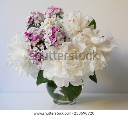 Bouquet of peonies and carnations (sweet william flowers) in a vase. Floral still life with white peony flowers and carnations.