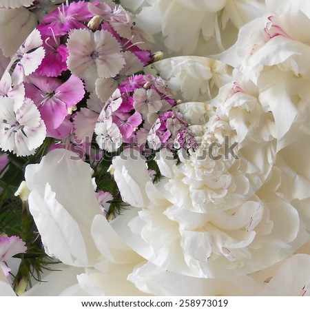 Peony flower and carnations (sweet william flowers) in a spiral effect.