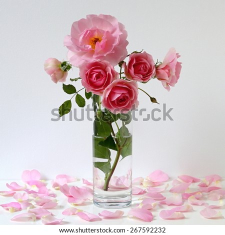 Bouquet of pink roses in a vase. Romantic still life with roses and petals.