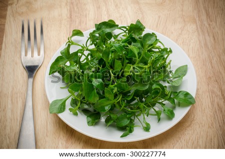 Fresh watercress (aquatic plant) on white plate and wooden background,organic vegetable,clean eating