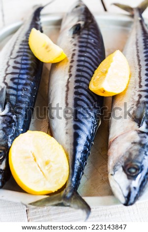 whole fresh fish, mackerel on iron background, healthy food