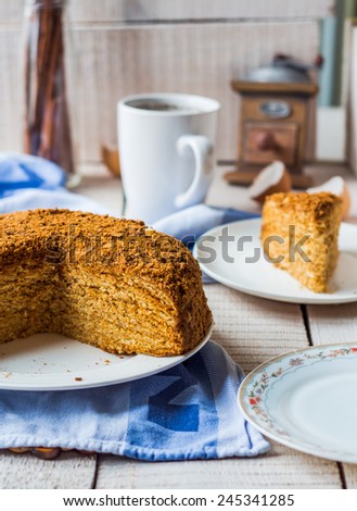 a piece of honey cake with sour cream and nuts,Slavic cuisine