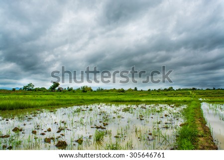 Landscape of fields with dark storm clouds on sky before the rain