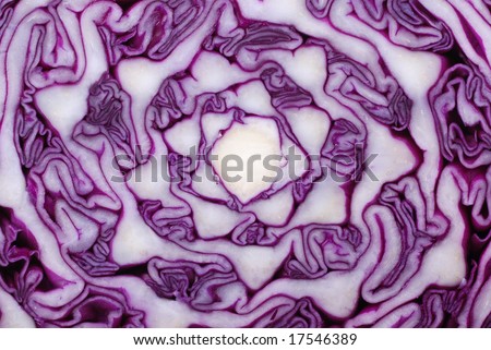 red cabbage section