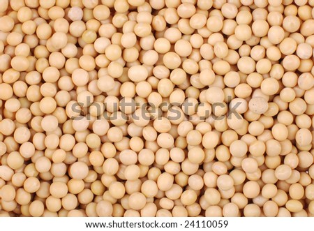 Dry Soybeans