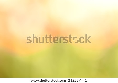 Boke on Smooth Pastel Abstract Gradient Background, green, yellow and beige colors