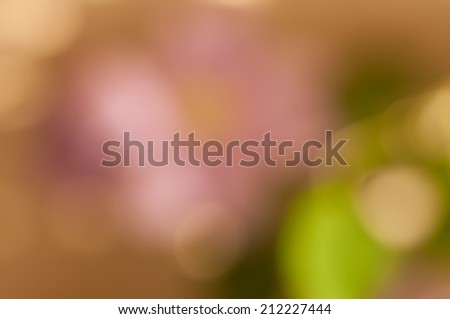 Boke on Smooth Pastel Abstract Gradient Background, green, yellow, beige and pink colors