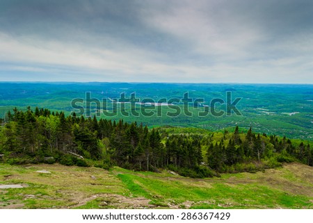 mountain view, summer, wood, green, clouds