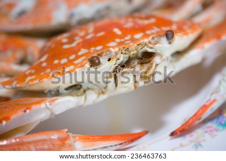 big sea crabs prepared on wooden table