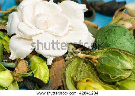 Beautiful gardenia flower and dried exotic leaves and flowers (as a tropical background)
