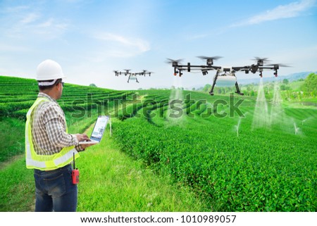 Technician farmer use wifi computer control agriculture drone fly to sprayed fertilizer on the green tea fields, Smart farm 4.0 concept