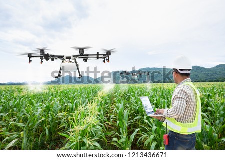 Technician farmer use wifi computer control agriculture drone on sweet corn field