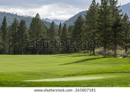 Golf Course Fairway lined with Tall Pine Trees; storm clouds entering the scene.  Montreaux Golf Course