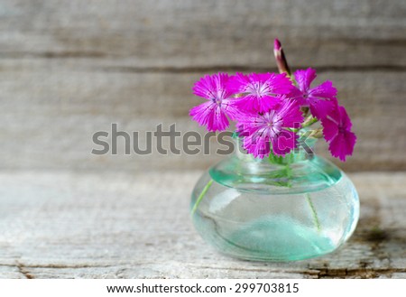 Small bouquet of wild carnation