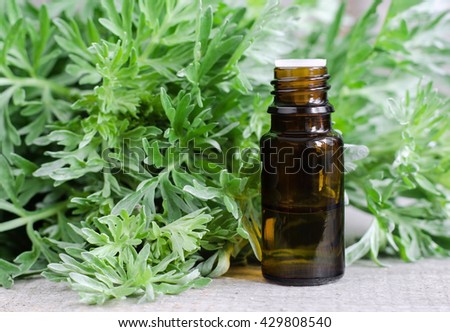 Small bottle of essential wormwood oil (herbal tincture, infusion, extract)