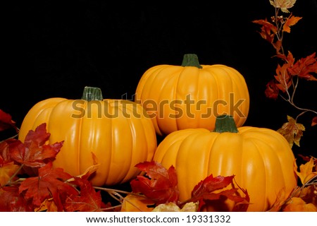 Three bright orange pumpkins arranged together on a black background with some autumn leaves.