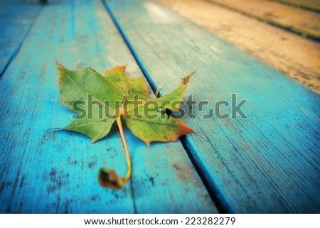 The maple leaf lying on old boards