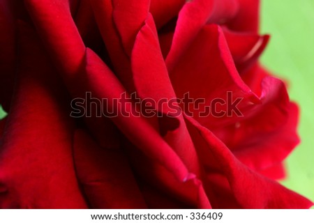 up close and personal macro shot of a beautiful red rose