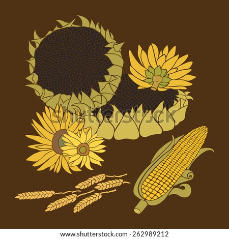 Sunflower and Corn greeting card. Yellow and green flower on the dark background