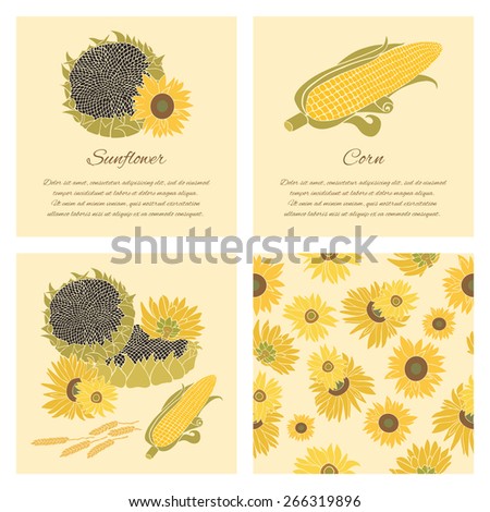 Sunflower, corn and grain greeting card set. Yellow vector flowers on the bright and dark background collection