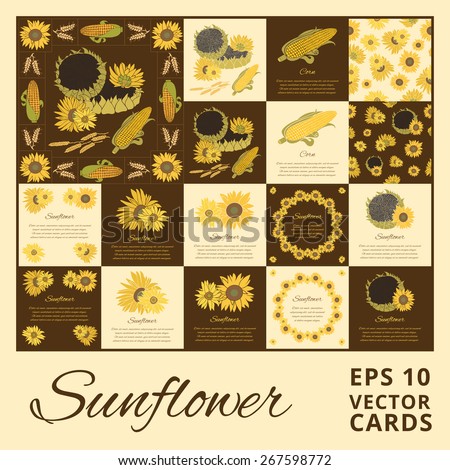 Sunflower greeting card set. Yellow vector flowers on the bright background collection