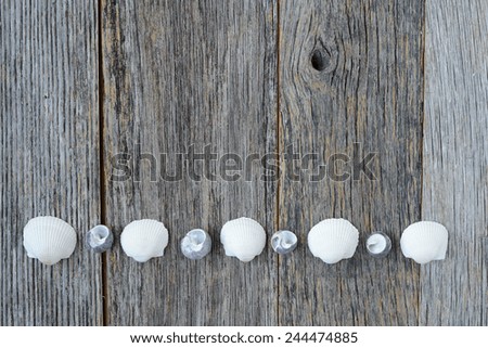 Sea Themed Background with Rustic Wood Fencing and Decorative Shells