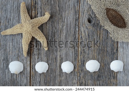 Sea Themed Background with Rustic Wood Fencing and Decorative Shells