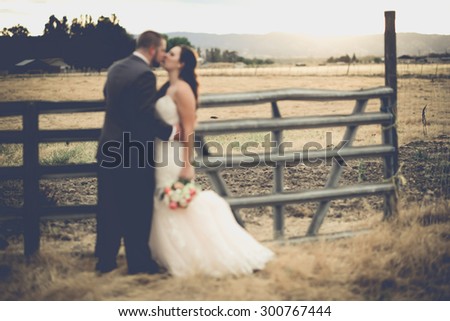 Blurred Image-Bride and Groom in Scenic Farm Location.