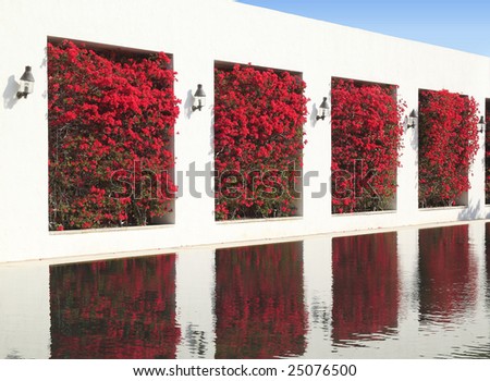 White wall with bougainvillea trees and lanterns reflecting in water