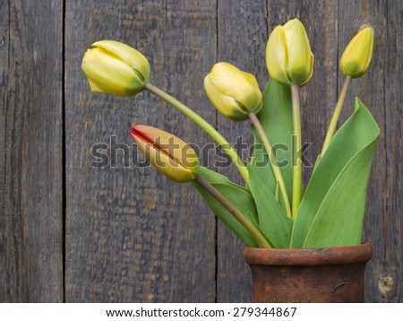 Five fresh cut tulips are in the old clay jug