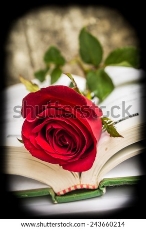 Rose with book on vintage frame