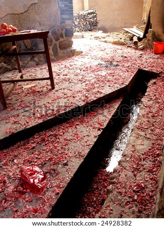 Red firecracker on the ground after burn in Chinese spring festival.