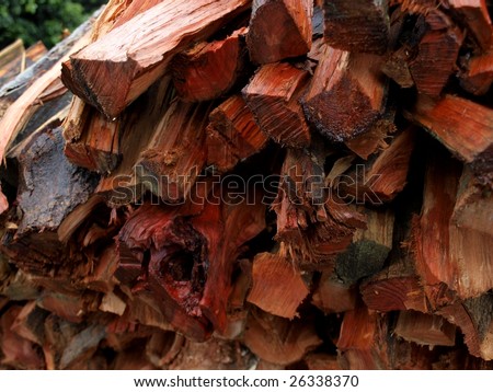 Stack of firewood cut from litchi trees..